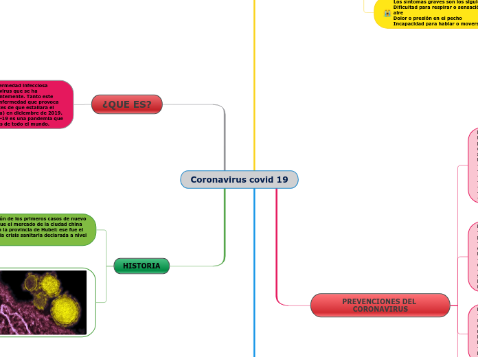 Coronavirus covid 19