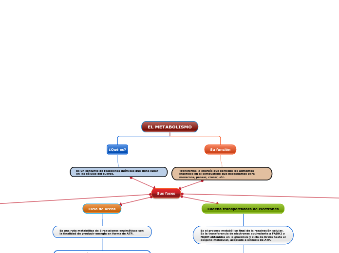 EL METABOLISMO eje2