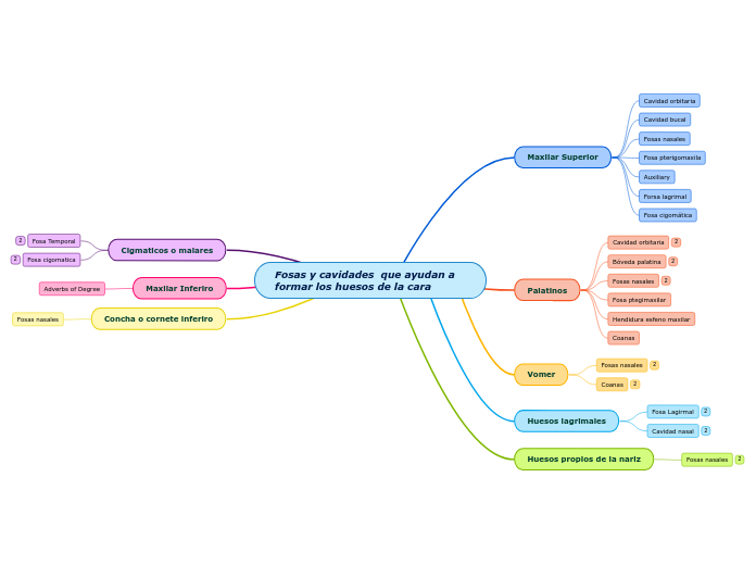 Fosas y cavidades  que ayudan a formar los huesos de la cara