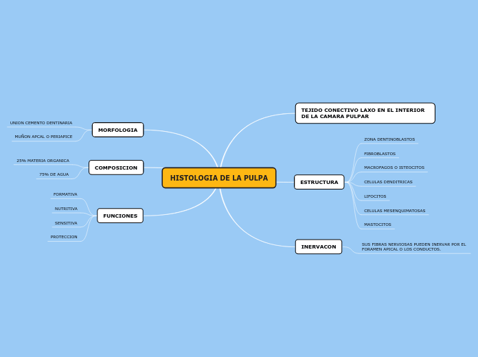 HISTOLOGIA DE LA PULPA