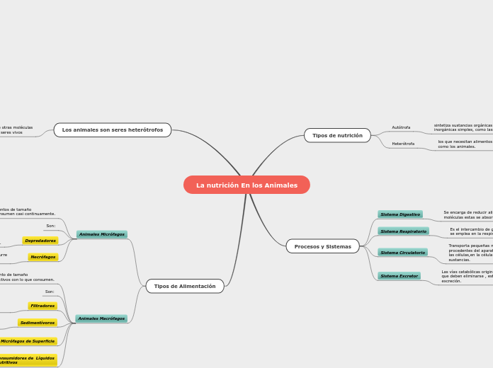 La nutrición En los Animales