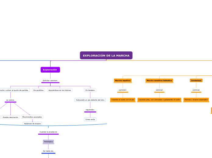 EXPLORACIÓN DE LA MARCHA