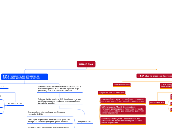 DNA E RNA