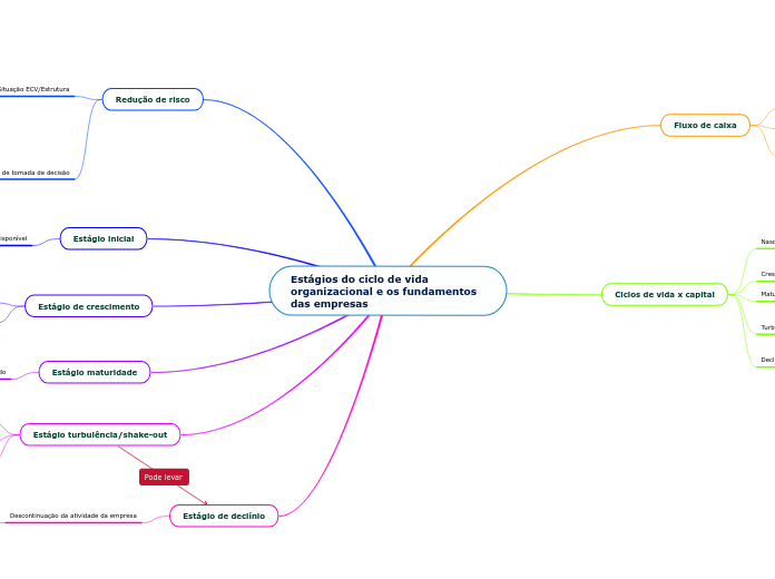 Estágios do ciclo de vida organizacional e os fundamentos das empresas