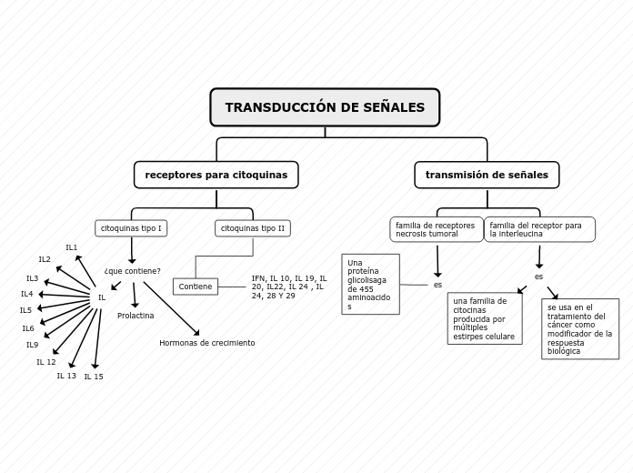 Organigrama