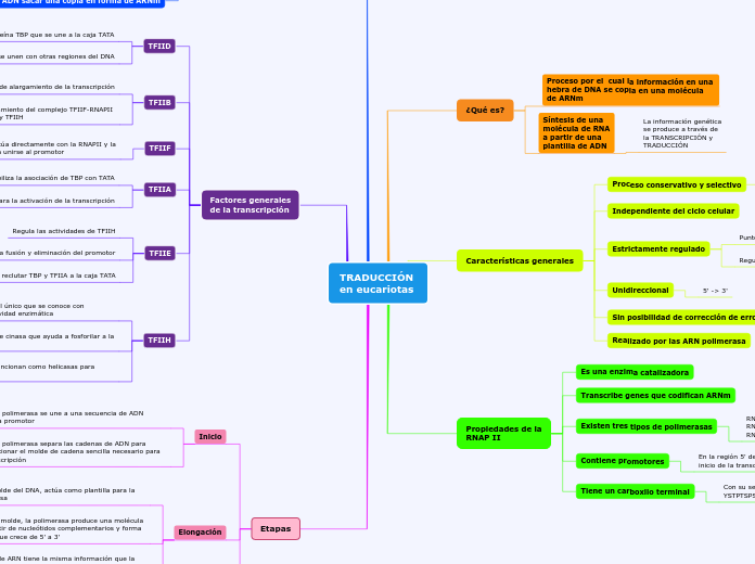 TRADUCCIÓN en eucariotas