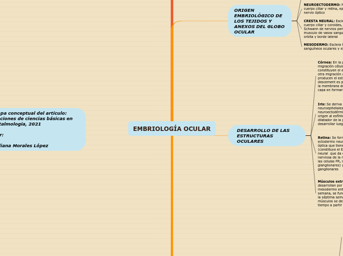 EMBRIOLOGÍA OCULAR