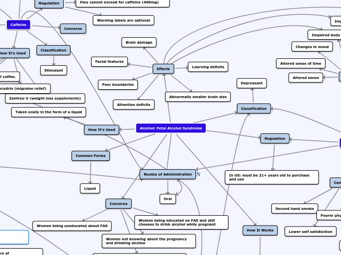 HE 366 Concept Map Assignment