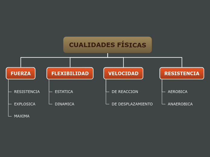 Organigrama arbol