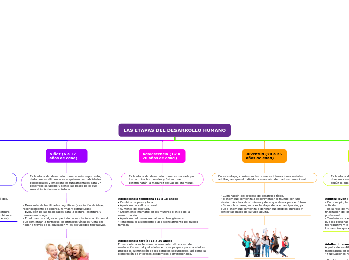 LAS ETAPAS DEL DESARROLLO HUMANO