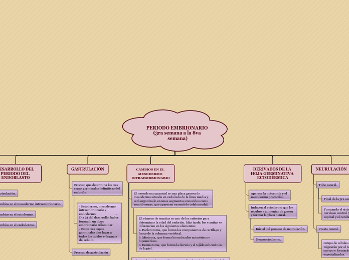 PERIODO EMBRIONARIO (3ra semana a la 8va semana).