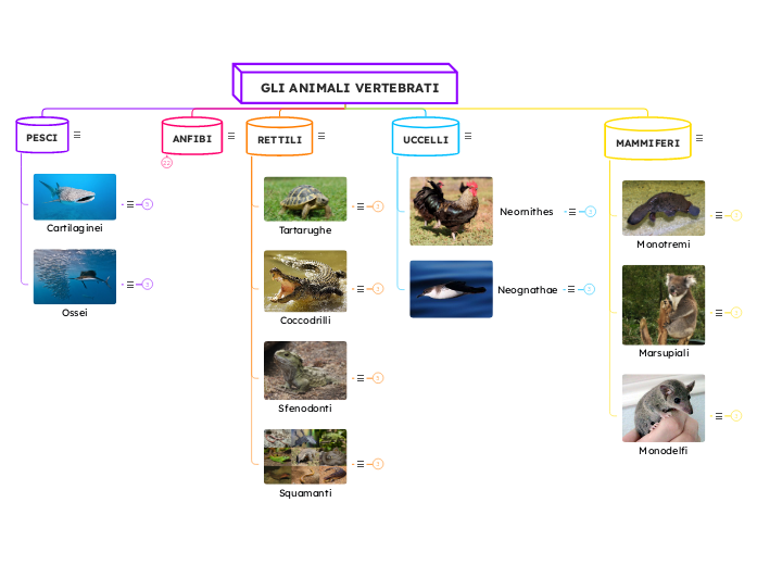 GLI ANIMALI VERTEBRATI