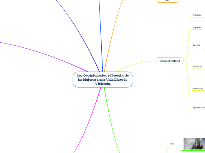 Ley Orgánica sobre el Derecho de las Mujeres a una Vida Libre de Violencia.