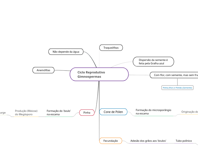 Ciclo Reprodutivo Gimnospermas