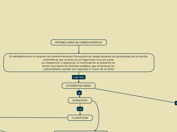 METABOLISMO DE CARBOHIDRATOS