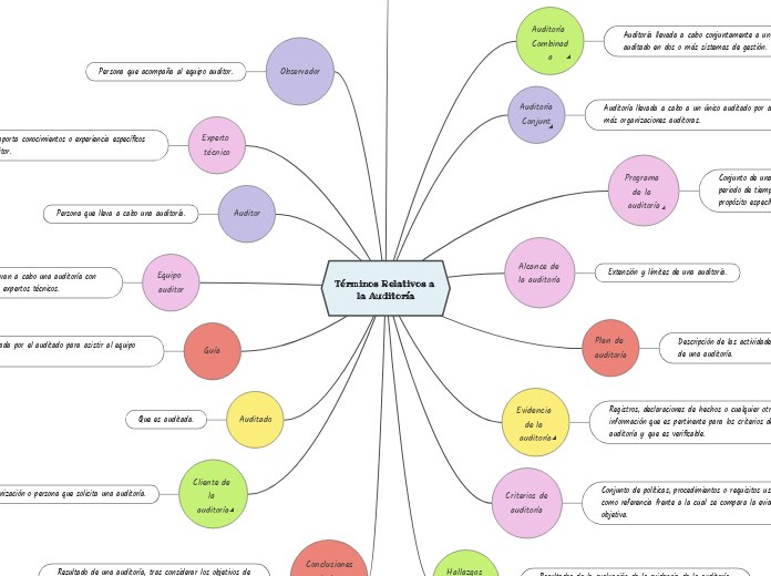 Términos Relativos a la Auditoría