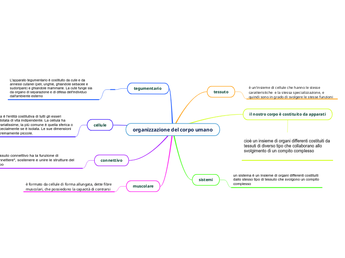 organizzazione del corpo umano