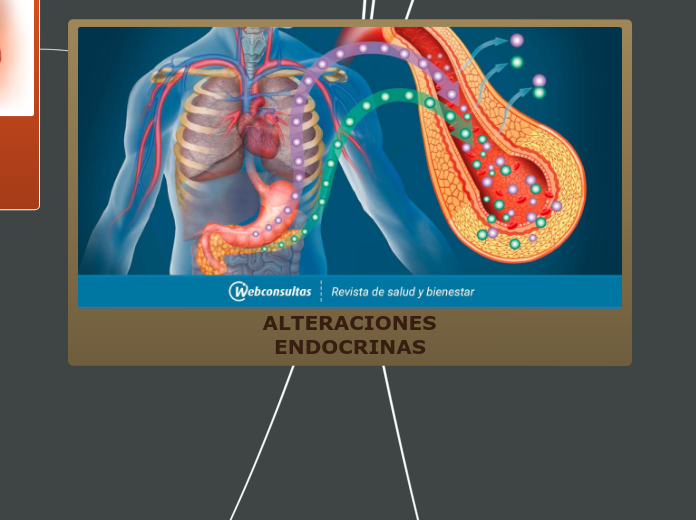 ALTERACIONES ENDOCRINAS