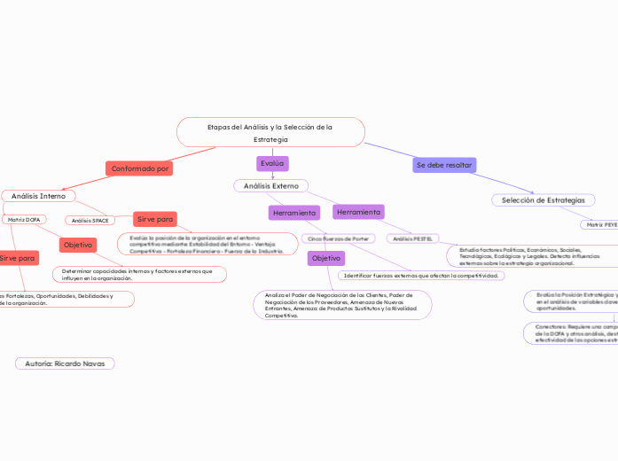 Etapas del Análisis y la Selección de la Estrategia