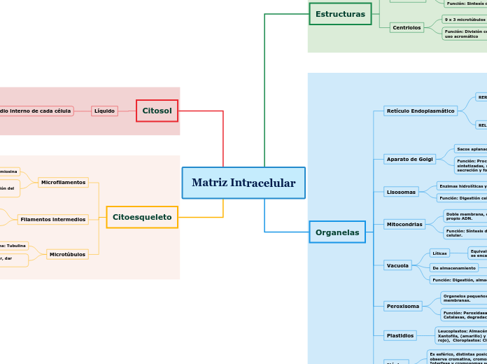 Matriz Intracelular