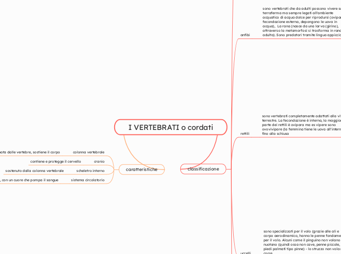 I VERTEBRATI o cordati
