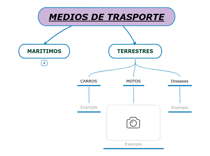 TRASPORTES