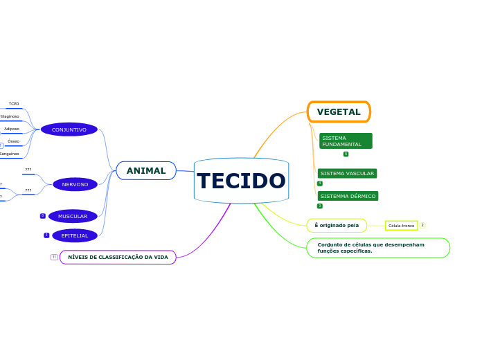 TECIDO