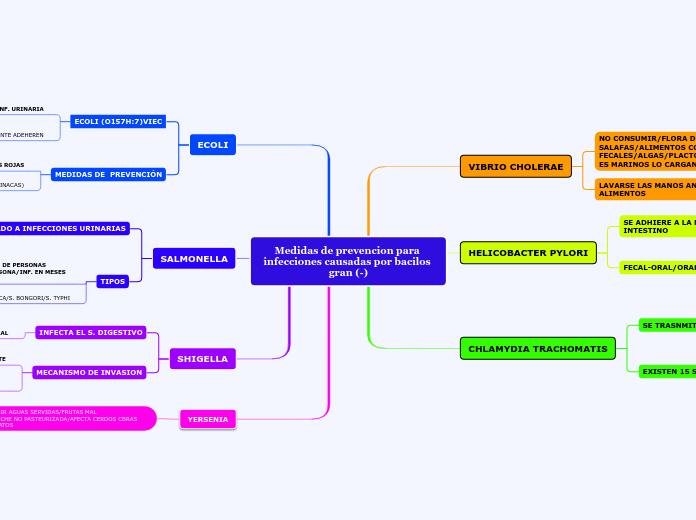 Medidas de prevencion para infecciones causadas por bacilos gran (-)