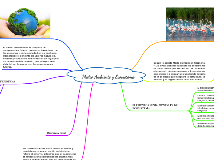 Medio Ambiente y Ecosistema