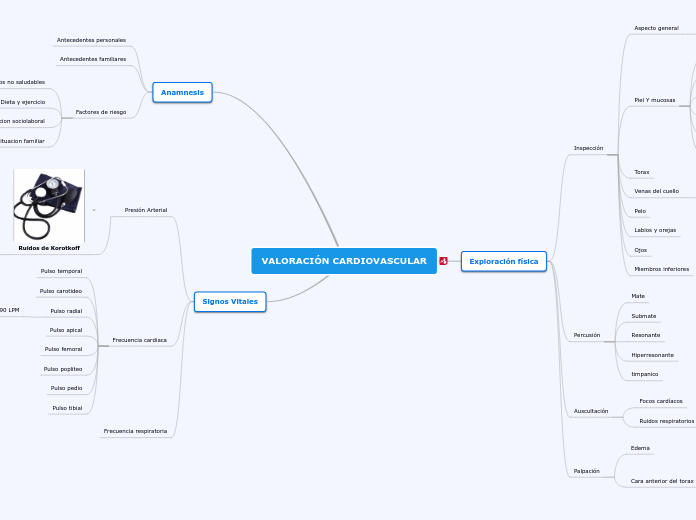 VALORACIÓN CARDIOVASCULAR