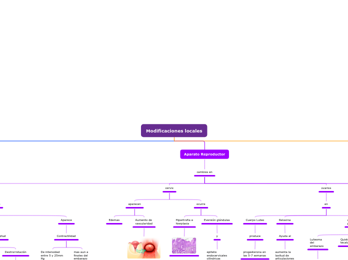 Organigrama