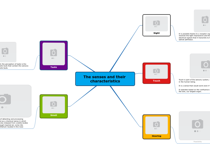 The senses and their characteristics