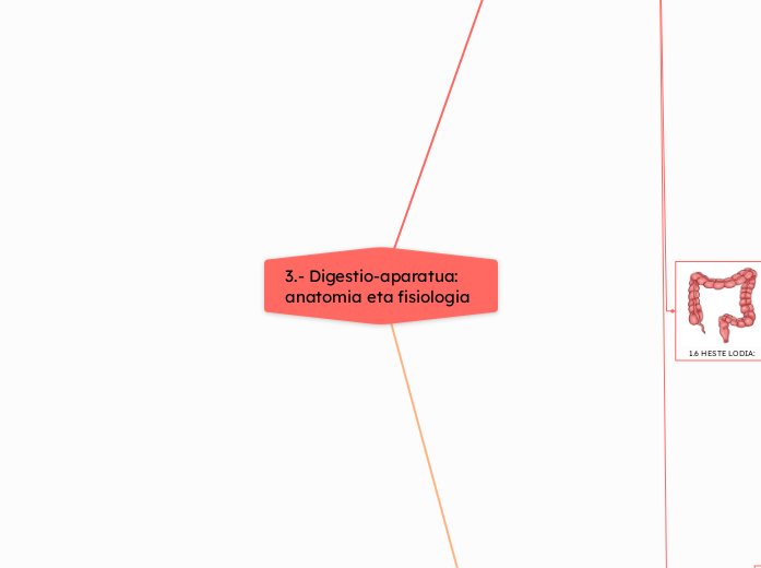 3.- Digestio-aparatua: anatomia eta fisiologia