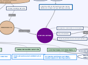 Mapa Conceptual PEA- 