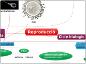 Reproducció