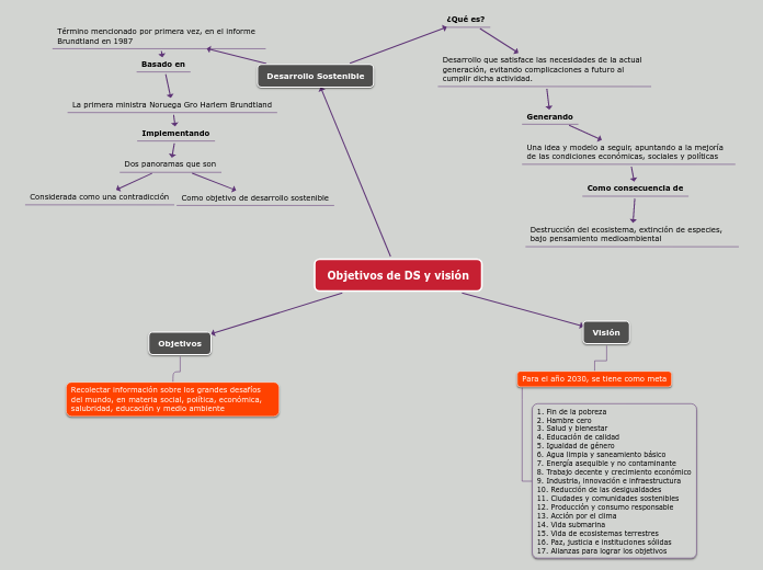 Objetivos de DS y visión