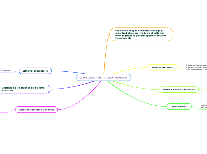 LOS SISTEMA DEL CUERPO HUMANO