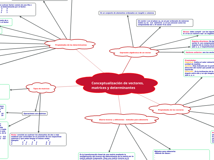Conceptualización de vectores, matrices y determinantes