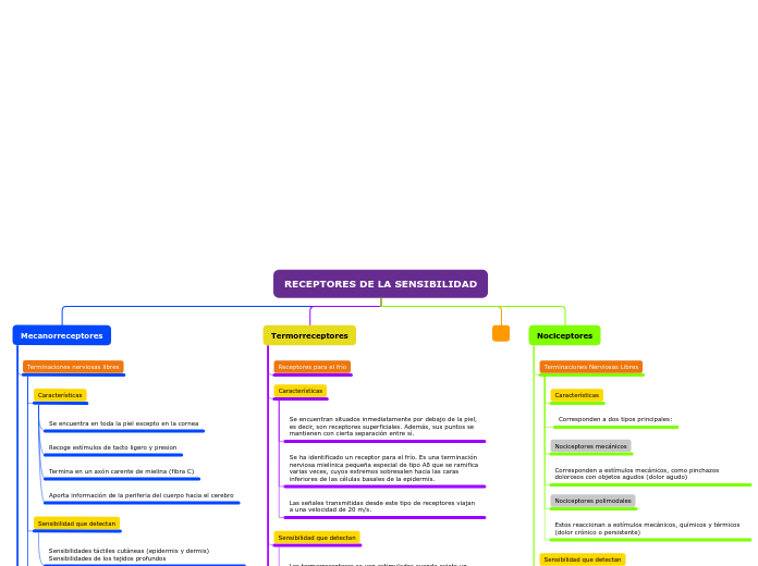 Organigrama arbol