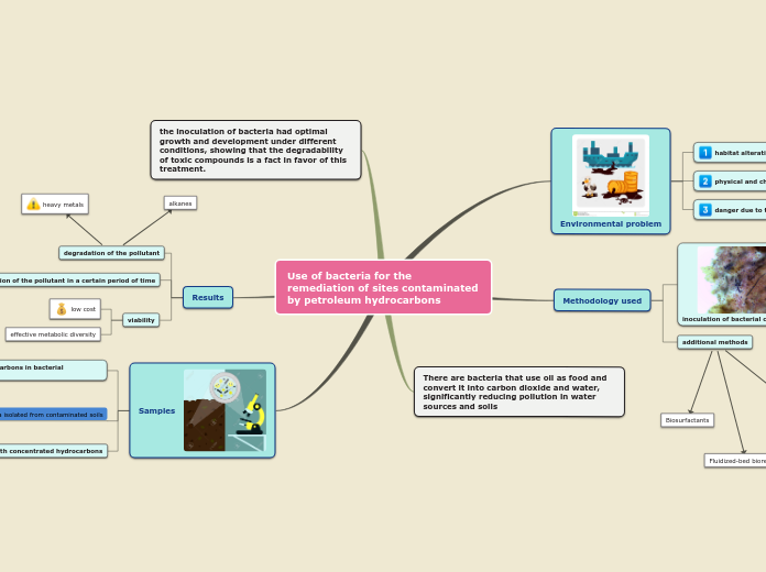 Use of bacteria for the remediation of sites contaminated by petroleum hydrocarbons