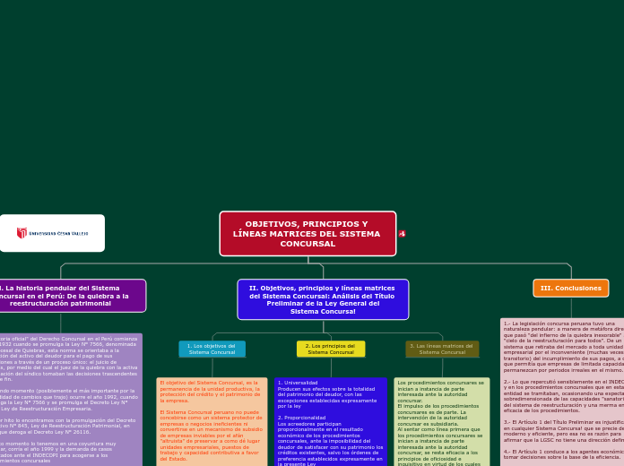 OBJETIVOS, PRINCIPIOS Y LÍNEAS MATRICES DEL SISTEMA CONCURSAL