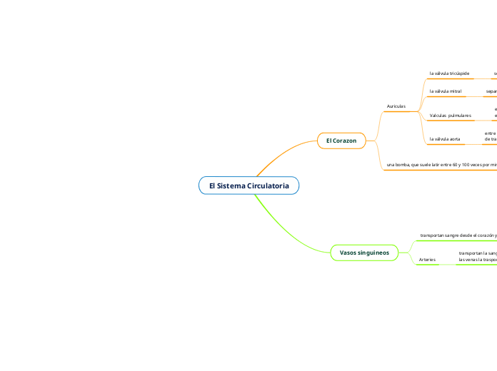 El Sistema Circulatoria