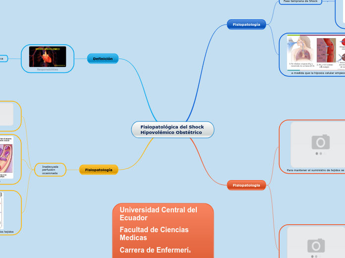 Fisiopatológica del Shock Hipovolémico Obstétrico Cristian Logacho