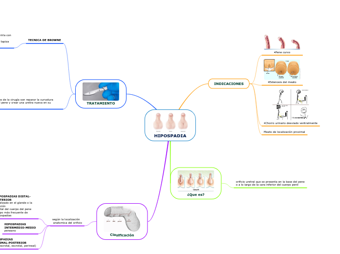 HIPOSPADIA