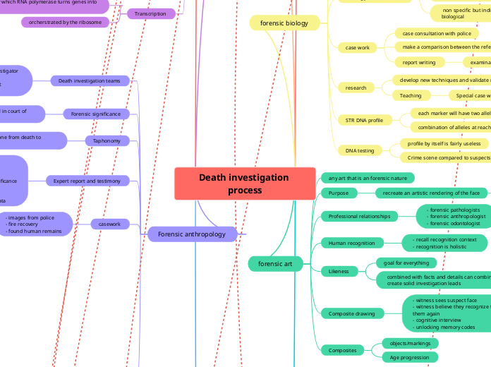 Death investigation process