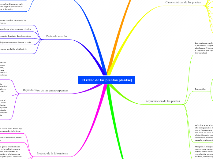 El reino de las plantas(plantae)