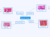 Tissue Mindmap