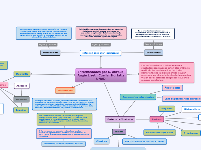 Enfermedades por S. aureus Angie Lizeth Cuellar Hurtatiz UNAD