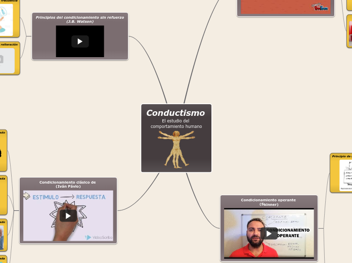 Conductismo                                       El estudio del comportamiento humano