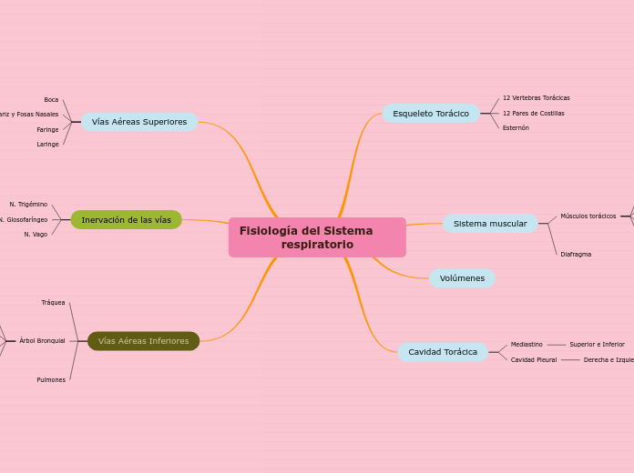 Fisiología del Sistema      respiratorio